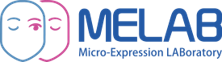 MELAB Logo